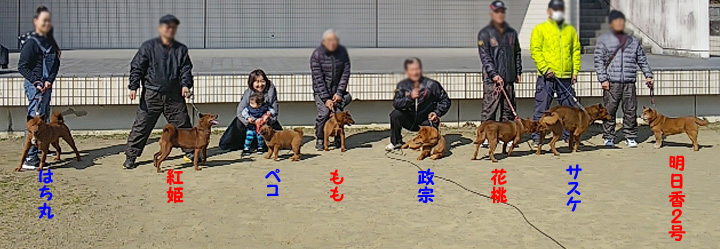 保存会メンバー